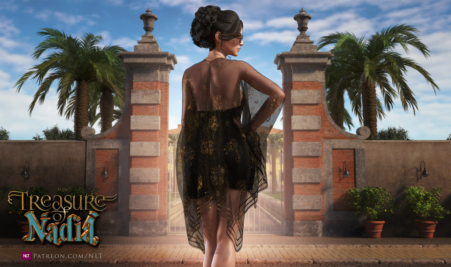 迪亚纳之宝封面